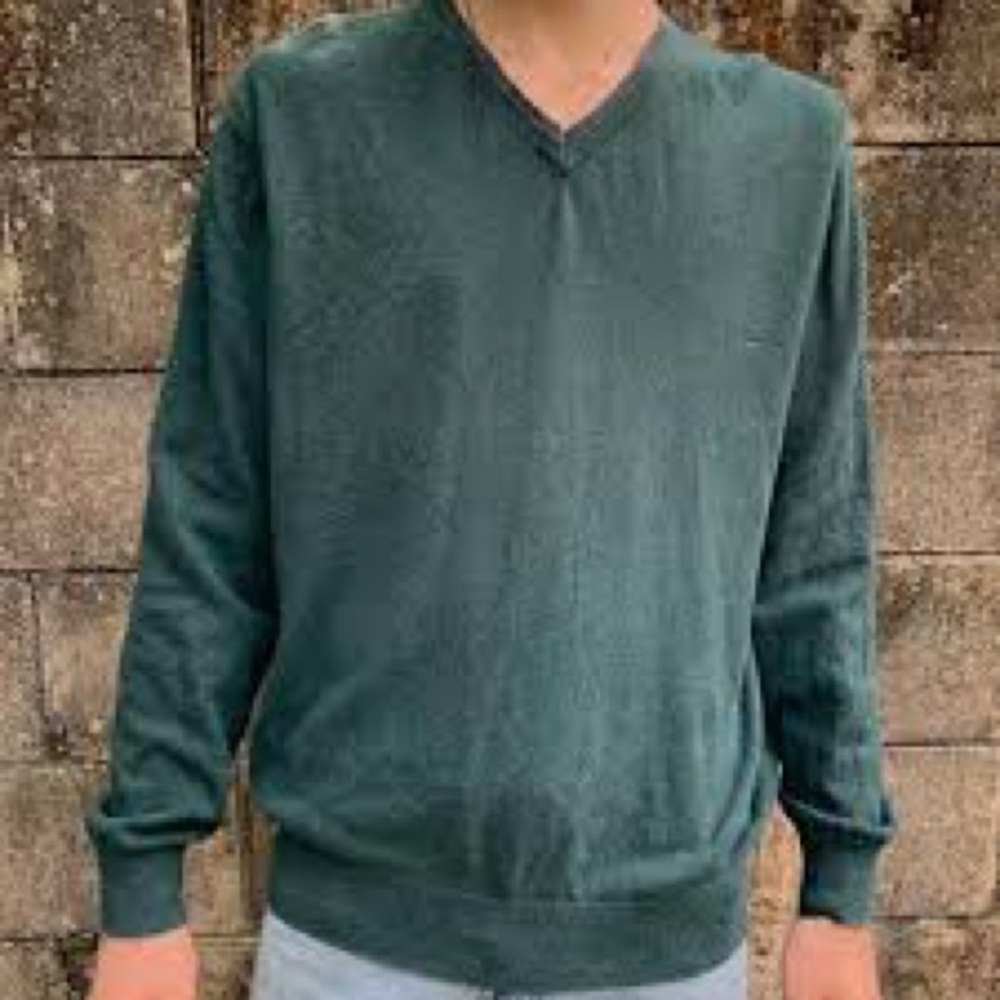 GAP Men's Forest V-Neck Sweater